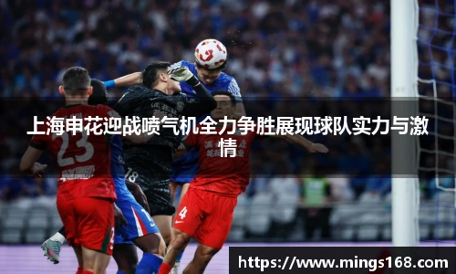 zoty中欧