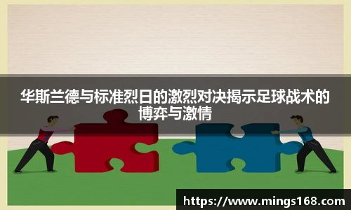 zoty中欧体