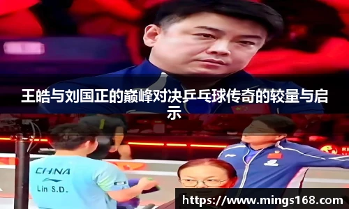 zoty中欧