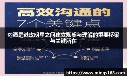 zoty中欧集团