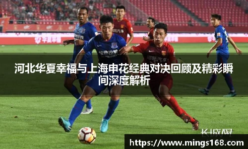 zoty中欧体