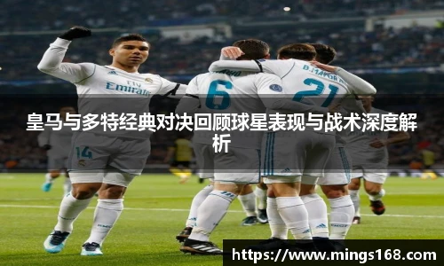 zoty中欧体