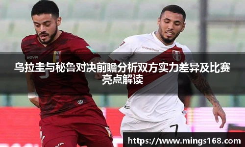 zoty中欧体育全站官网